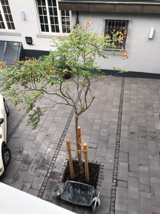 Gaestewohnung Im Logenhaus Mainz Exteriör bild